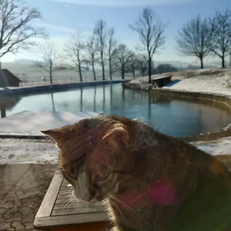 Podvesky Mlyn Gæstehus *