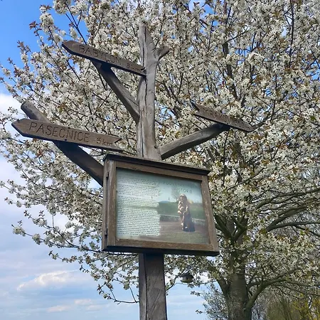 Podveský Mlýn Penzion